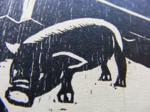 biblioteca 269 copy.jpg